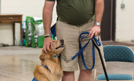 A Helping Paws service dog gets a pet from a man.