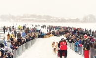 Klondike dog derby