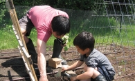 Rev. John Lee and his son Soren planted fresh produce in a family plot at St. Luke’s.