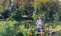 Young boy in a garden