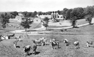 An old photograph of Boulder Bridge Farm, a gentleman's farm on Lake Minnetonka once owned by the Dayton family.