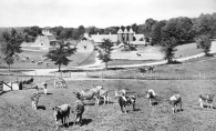 Boulder Bridge Farm An old photograph of Boulder Bridge Farm, a gentleman's farm on Lake Minnetonka once owned by the Dayton family.