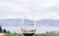 Vinyard, Wine Tasting, Wine Country