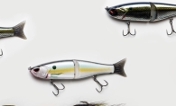 Muskie fishing lures against a white background.