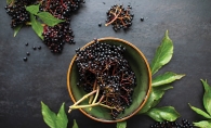 Elderberries for home remedies