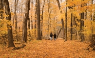 Fall colors in Minnesota