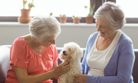 Two senior women play with a dog at Lake Minnetonka Shores, voted Best Senior Living Residence in the Best of Lake Minnetonka 2019 readers' choice survey.