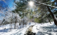 Walking path in winter.
