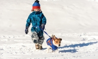 Young boy walking a dog in winter.