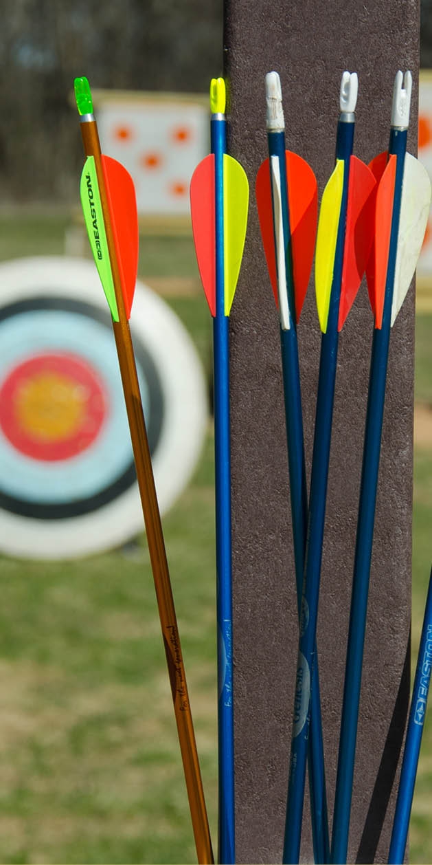 Arrows in pole-mounted quiver with target in background