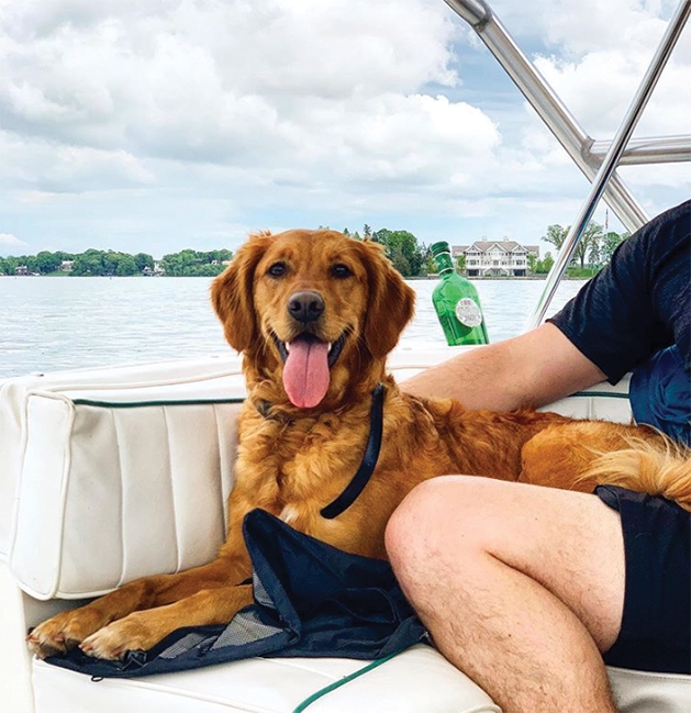 A dog on a boat on Lake Minnetonka