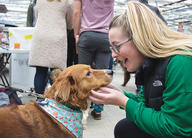 A woman pets a dog at Tonkadale Greenhouse's Biscuits & Blooms event.