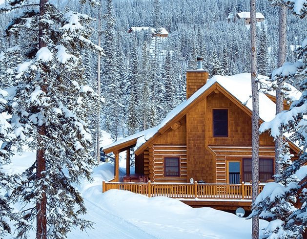 A cabin in the snowy woods.