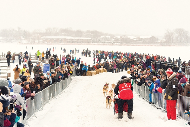 Klondike dog derby