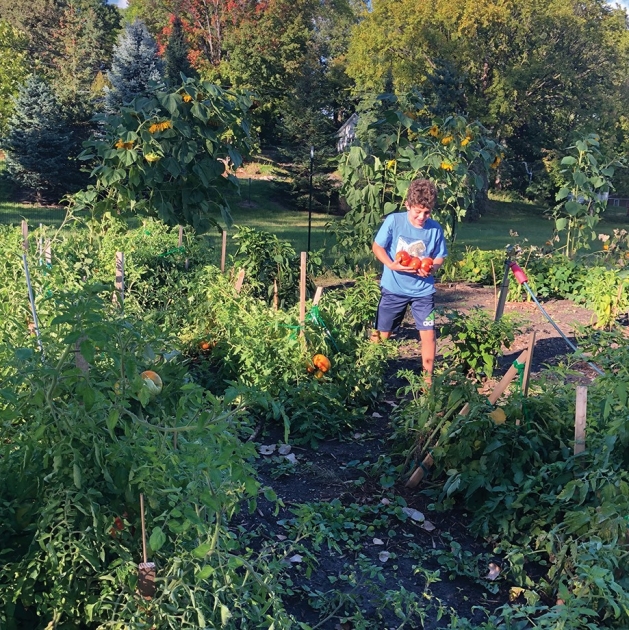 Young boy in a garden