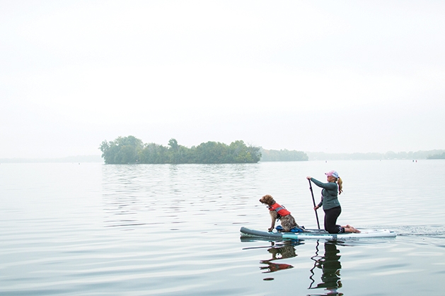 paddleboarding with a dog