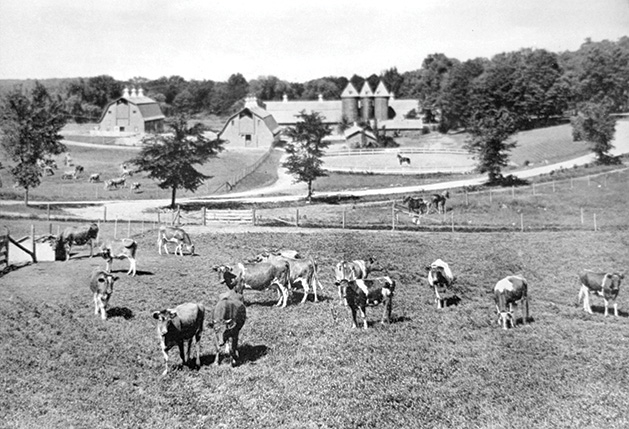 An old photograph of Boulder Bridge Farm, a gentleman's farm on Lake Minnetonka once owned by the Dayton family.
