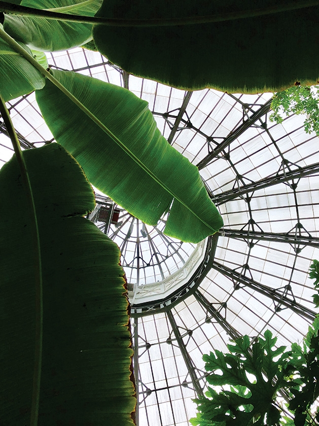 The Toronto Botanical Garden