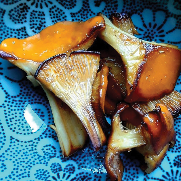 An edible mushroom found while foraging in Minnesota.