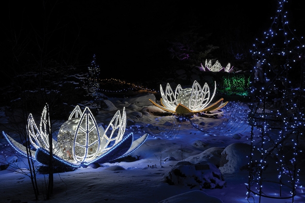 Winter Lights at the Minnesota Landscape Arboretum.