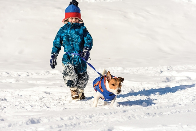 Young boy walking a dog in winter.