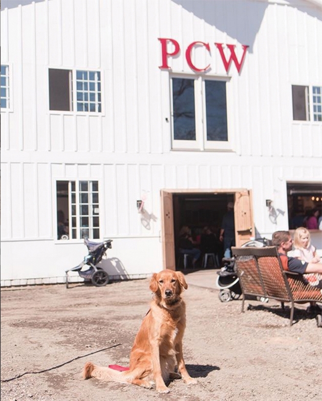 A dog sits outside of Painter Creek Winery and Cidery
