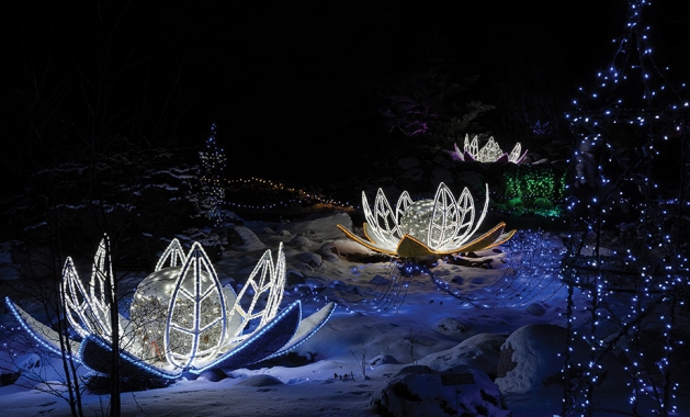 Winter Lights at the Minnesota Landscape Arboretum.