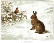 An illustration of a rabbit and a bird in winter.