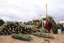 Timber Bay's Minnetonka Christmas tree lot
