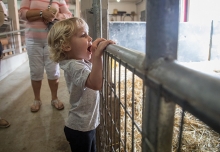 A child watches an animal at Gale Woods Farm's Breakfast on the Farm event.