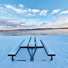 Winter Picnic