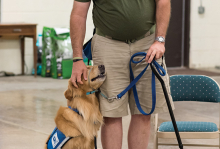 A Helping Paws service dog gets a pet from a man.