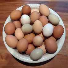 A bowl of eggs for Easter