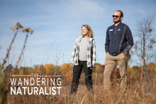 Banner for The Wandering Naturalist Podcast