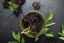 Elderberries for home remedies