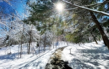 Walking path in winter.