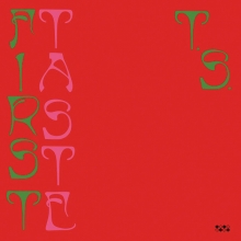"First Taste" by Ty Segall