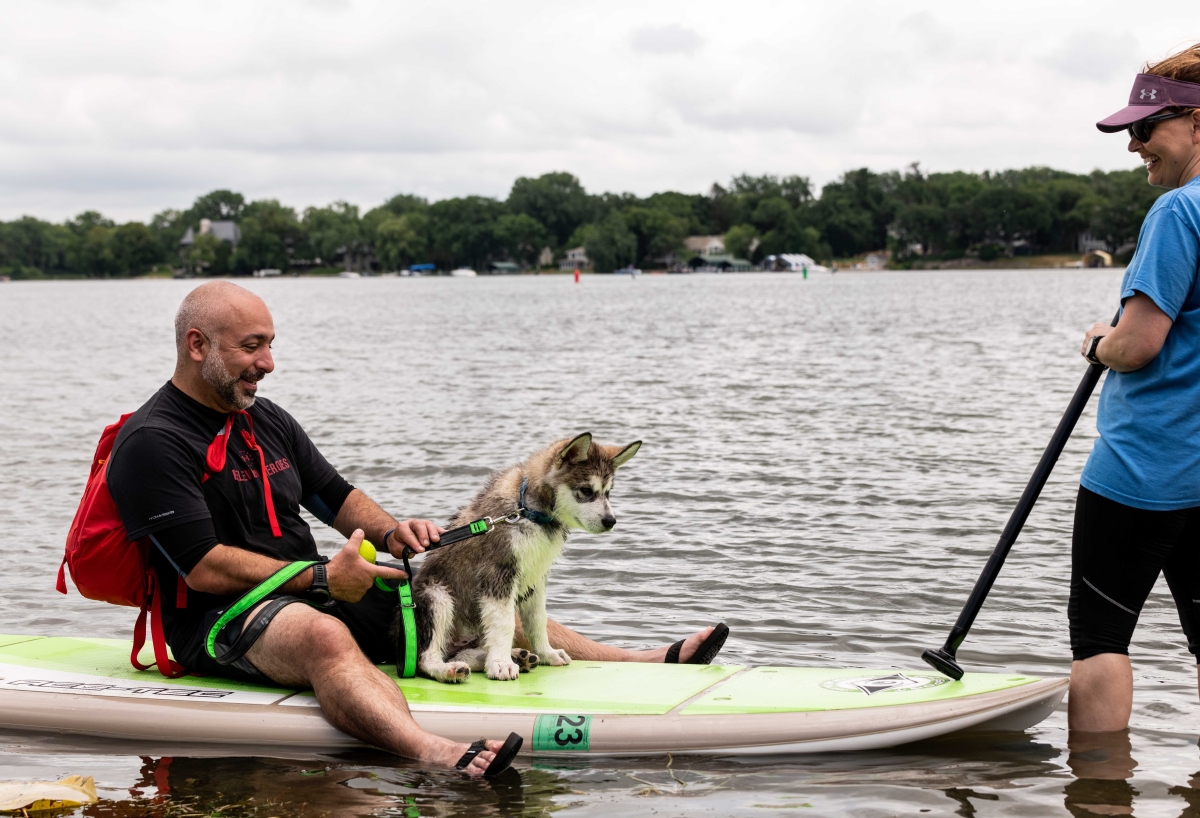 Puppies and Paddleboards