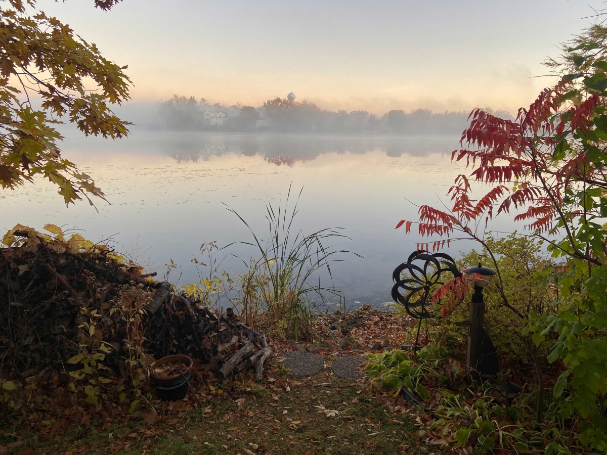 Foggy Morning