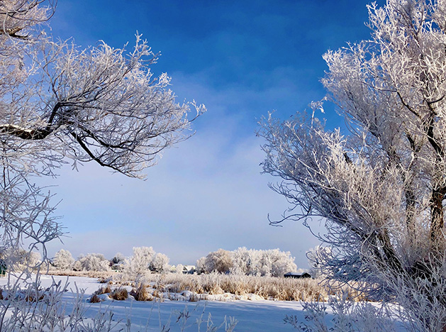 A frosty morning on Lake Minnetonka