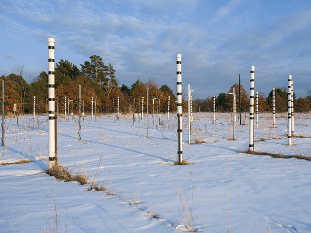 Biodiversity CO2 and Nitrogen (BioCON), Winter