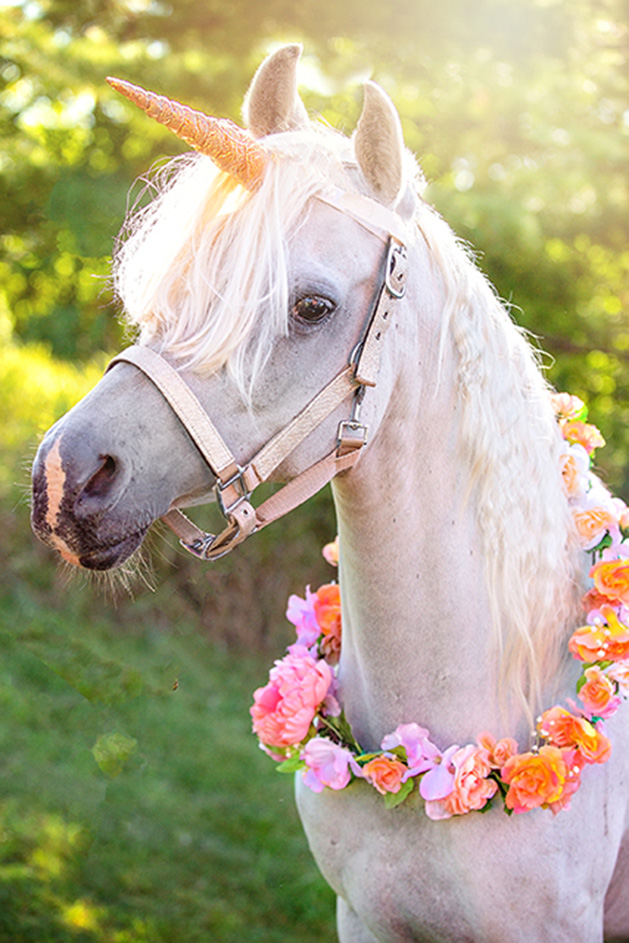A horse dressed up in a lei and unicorn horn.